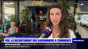 Pas-de-Calais: le recrutement des saisonniers a commencé