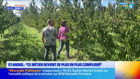 Le journal de 8h du vendredi 26 septembre 2025