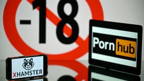 Les représentants de cinq sites pornographiques se sont opposés devant le tribunal judiciaire de Paris à la demande de blocage initiée par l'Arcom, qui tente de faire respecter l'obligation légale d'empêcher l'accès à leurs contenus par les mineurs