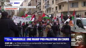 Marseille: des manifestants rassemblés ce samedi pour exprimer leur soutien au peuple palestinien