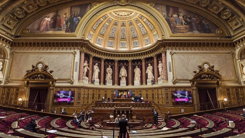 Le ministre des Comptes publics a contesté une mesure adoptée par la haute assemblée en faveur des élus locaux.