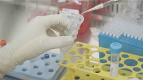 Les premiers essais d'un nouveau vaccin du laboratoire français Transgene se sont avérés concluants pour prévenir les rechutes de cancers ORL