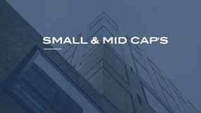 Small & Mid Caps