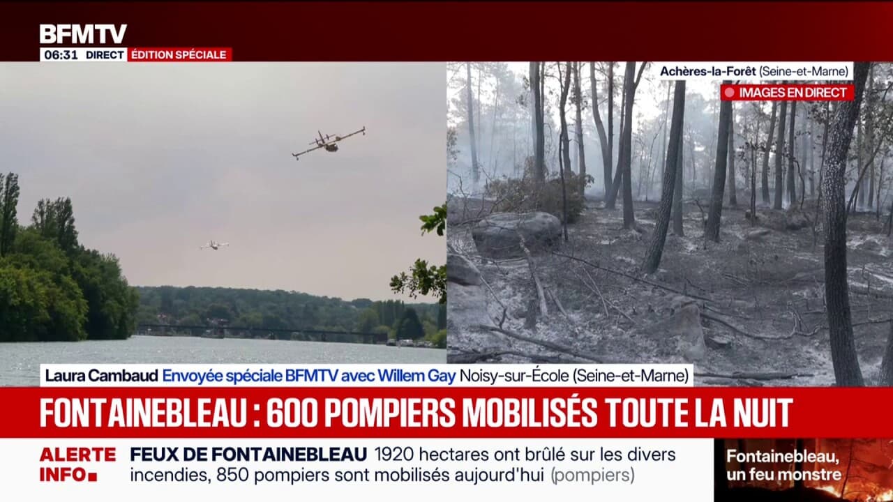 Fontainebleau Yangını: Alevlerin Kapladığı 1.920 Hektarın 1.400'ü Tamamen Yandı