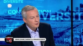 Découvrez Bruno Le Maire en mode grande gueule