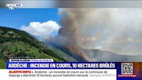 Incendie en Ardèche: "Pas d'habitations ou de points sensibles menacés", déclare Sophie Elizéon, préfète de l'Ardèche