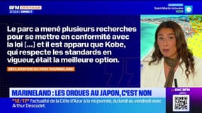 Marineland: le gouvernement s'oppose au transfert des deux orques au Japon