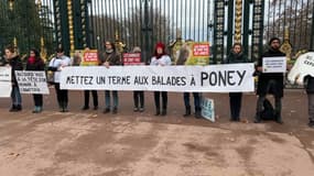 Une trentaine de militants étaient devant le parc de la Tête d'Or pour manifester contre les balades à poneys.