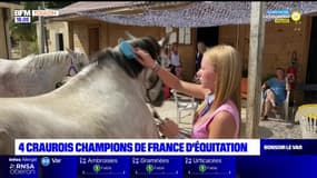 La Crau: quatre jeunes sacrés champions de France d'équitation