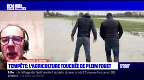 "Nous sommes très inquiets": après la tempête, les agriculteurs du Pas-de-Calais déplorent les fortes pluies