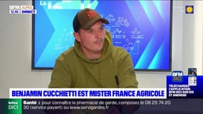 Alpes du Sud: un arboriculteur élu Mister France agricole 2024