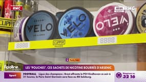 Les "pouches", ces sachets de nicotine bourrés d'arsenic prisés des jeunes