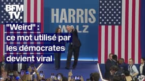 "Weird": pourquoi ce petit mot de Tim Walz, nouveau colistier de Kamala Harris, est devenu viral
