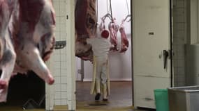 Illustration abattoir.