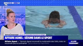 Affaire Agnel : Les associations pointent "des environnements propices dans le sport aux agressions sexuelles"