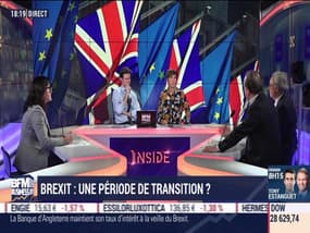 Brexit: une période de transition ? - 30/01