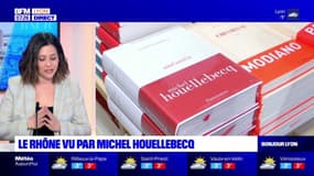 "Anéantir", le dernier livre de Michel Houellebecq, se déroule en grande partie dans le Rhône