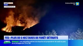 Alpes-de-Haute-Provence: un incendie parcourt plus de 6 hectares de forêt à Vergons, le feu désormais "fixé"