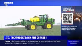 Va-t-on pouvoir acheter de nouveau du Roundup dans les jardineries? BFMTV répond à vos questions