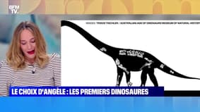 Le choix d'Angèle : Les restes du plus vieux dinosaure découverts ! - 02/09