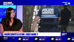 Lutte contre l'insécurité à Lyon: un manque de volonté politique de la mairie?