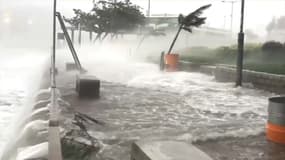 Le typhon Hato déferle sur Hong Kong en niveau d'alerte maximale.