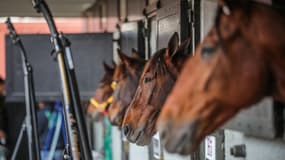 Journée de gala à Vincennes ce samedi 4 septembre