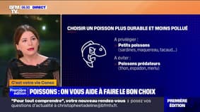 Sardine, thon, merlu : comment choisir le bon poisson ?