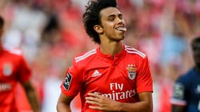 João Félix 