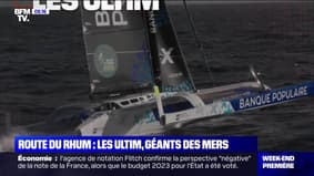 Les Ultim, géants des mers lors de la Route du Rhum - 05/11
