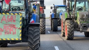 Une mobilisation d'agriculteurs en colère contre les charges financières et les normes environnementales jugées trop contraignantes en France, en Normandie le 24 janvier 2024.