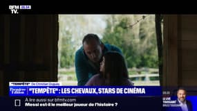 Les chevaux, stars du film "Tempête" de Christian Duguay