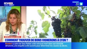 BFM Lyon et vous: comment trouver de bons vignerons à Lyon?