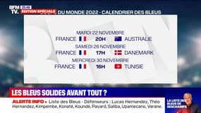 Coupe du monde au Qatar: Le programme qui attend l'équipe de France