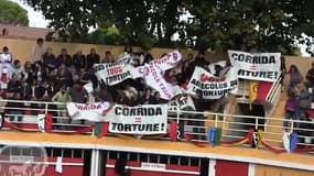 Des anti-corridas manifestent dans les arènes de Rodilhan (Gard), en octobre 2011