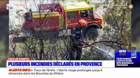 Feux de forêt: plusieurs incendies déclarés en Provence vendredi