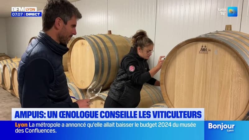 Rhône: un œnologue conseille les viticulteurs à Ampuis (1/1)