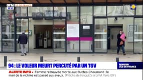 Val-de-Marne: la victime pousse son agresseur, le voleur meurt percuté par un TGV