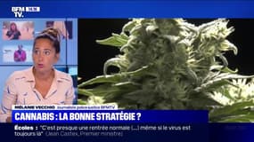 Cannabis: pourquoi mettre en place une amende forfaitaire de 200 euros ?