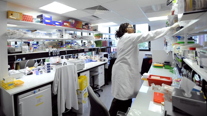 Dans un laboratoire de l'Institut Curie, à Paris, spécialisé dans la recherche contre le cancer. (photo d'illustration)