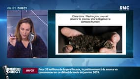 Le composte humain bientôt légalisé aux Etats-Unis !