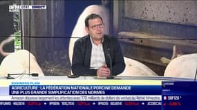 Agriculture: la Fédération Nationale Porcine demande une plus grande simplification des normes