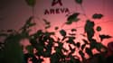 L'État a déboursé 4,5 milliards d'euros pour sauver Areva. 