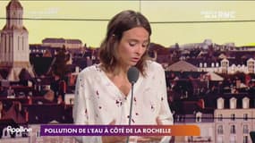 Potentiel scandale sanitaire près de La Rochelle