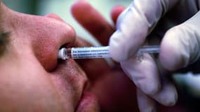 Image d'illustration - Une dose de vaccin contre le H1N1 injectée dans le nez, en 2009
