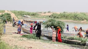 Les Ahwar du sud de l’Iraq : refuge de biodiversité et paysage relique des cités mésopotamiennes, en Iraq.