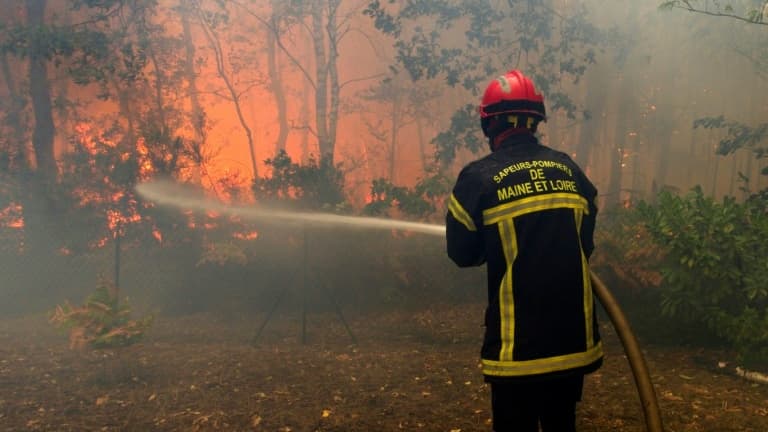 Un pompier lutte contre le feu dans la forêt de Pugles, (Maine-et-Loire) le 9 août 2022