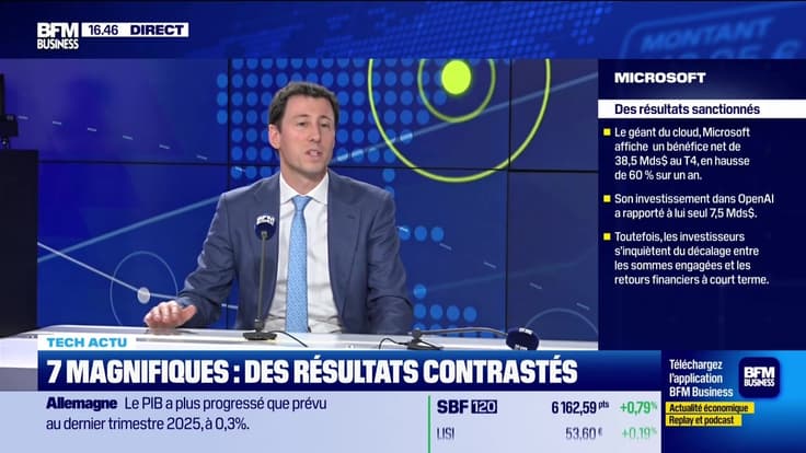 Tech Stocks : Résultats, le secteur du logiciel à la peine  - 30/01