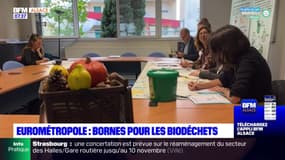Eurométropole de Strasbourg: des bornes pour les biodéchets