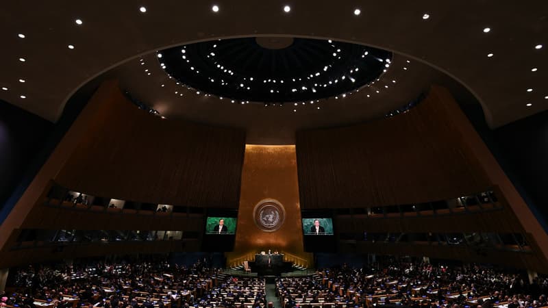 L'Organisation des Nations unies